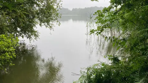 BBC Weather Watchers / Scout and About Colemere in Shropshire, with rain hitting the surface of the mere, surrounded by trees