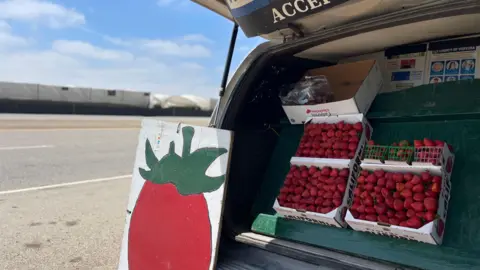 A truck selling strawberries on the side of the road. There is a colourful red cartoon logo of a strawberry and the fruits sit on the bed of the pick up truck