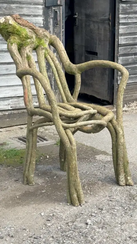 A chair grown from tree branches
