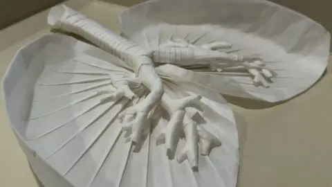 an origami of a pair of lungs