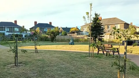St Helier Community Trust A view of the newly transformed park space. There are newly planted trees and a pathway through the centre. To the right are houses. 
