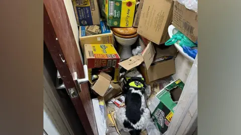 A police dog is next to a toilet, which is surrounded by boxes of different products.