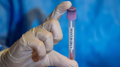 An individual holding a hantavirus test, wearing white rubber gloves and blue medical scrubs.