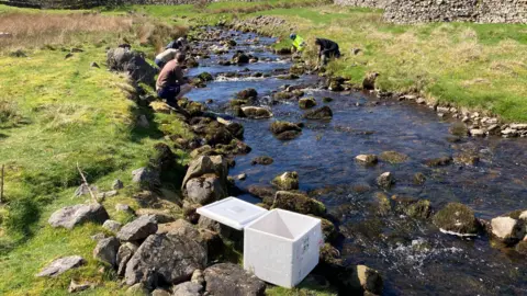 An outdoor rural landscape in bright daylight. A narrow, shallow stream runs diagonally through the scene from the upper centre toward the lower right corner.