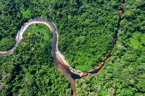 Jacob Hudson An aerial view of the rainforest and the Coppename river with two big bends as it runs through the dense, green forest