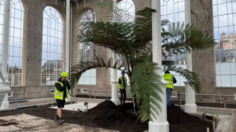 Three men work around a sole palm tree in the middle of a hot house.
