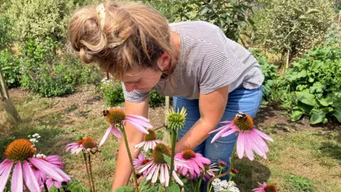 A woman is bending down cutting flowers in a garden. There are losts of pink Echinacea with bees sitting on top of them. The woman is wearing jeans with a white and black striped top and has her hair tied up on top of her head