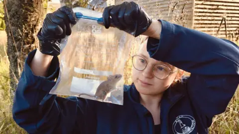 Tristan Whipps Hannah Le Morvan wearing gloves holds up a small mammal inside a clear bag for study, standing outdoors near trees and a shed with equipment visible nearby.