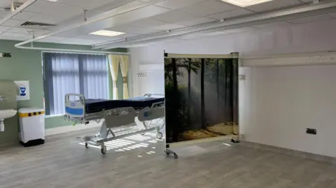 United Lincolnshire Teaching Hospitals NHS Trust Inside the ward. There is a hospital bed next to a screen with a picture of tall trees on it. The wall is light green