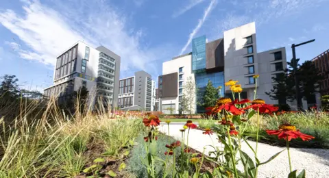 Imperial College London An image of a pathway in between flowers with buildings in the foreground.