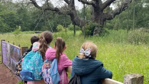 Four children looking at tree over fence