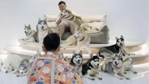 Fish+Bear Pictures Hao photographing Zhou with beautiful dogs in a white studio