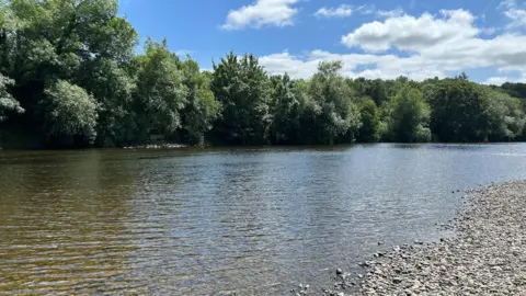 The River Wye, with pebbles in front of its shore, and trees behind. The sky is blue and cloudy.