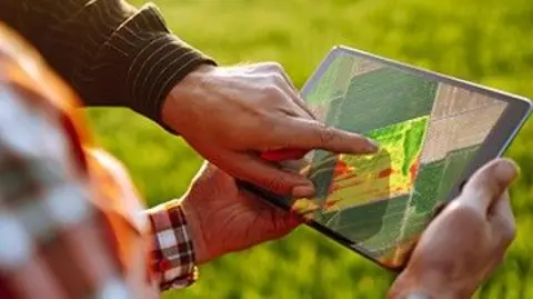 Grupo Syngenta Una tableta electrónica muestra un mapa de una granja y alguien señala un campo en particular.