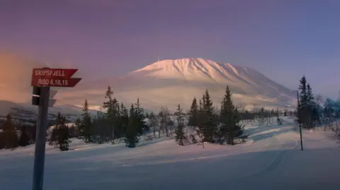 Getty Images A view of Gaustatoppen mountain covered in snow at sunset, behind a snow-covered field with rows of pine trees.