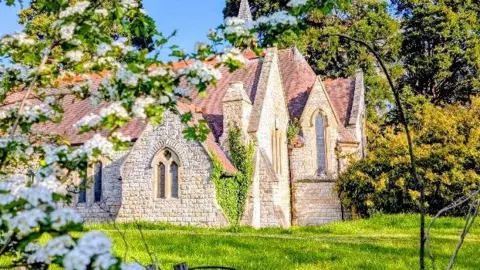 Weather Watcher/Wildwoman A church surrounded by trees and a very green lawn with the branch of a blossom tree in the foreground
