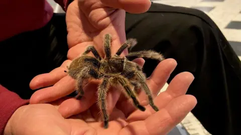 Worcester Cathedral Someone uses two hands to delicately hold a tarantula. 