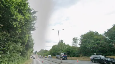 Road with trees either side