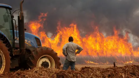 Reuters - Un agricultor observa cómo se produce un incendio en una granja de caña de azúcar cerca de Dumont.