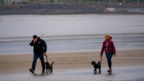 Dog walkers on the beach at Weston-Super-Mare