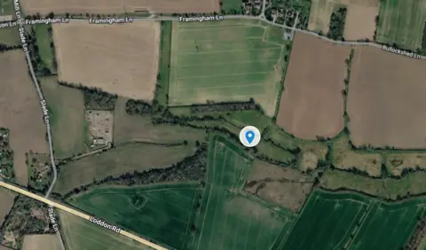 Google A Google satellite image map with a marker indicating where the cat was last spotted in Bramerton, Norfolk