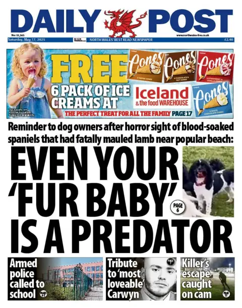 Daily Post Front page of the Daily Post newspaper with the splash headline: "Even your 'fur baby' is a predator". At the top of the page is an advert for Iceland ice creams. Other headlines on the page are as follows: "Armed police called to school"; "Tribute to 'most loveable' Carwyn"; and "Killer's escape caught on cam". 