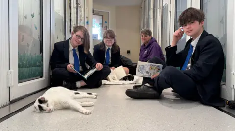 A white cate with black markings and no ears asleep on the floor. Three young teenagers surround him with books in their hands. A woman in a purple hoodie is in the far left