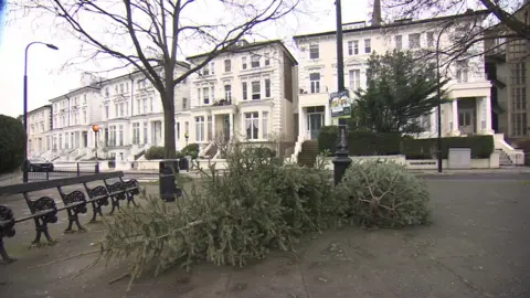 Several discarded Christmas trees lie on a pavement beside park benches and a lamppost, with a row of white terraced houses and leafless trees in the background.