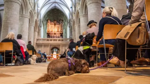 Pictoria A service dog lies on the floor in the aisle of Gloucester Cathedral. The dog has a purple lead which is being held by its handler, who is sitting in a chair.