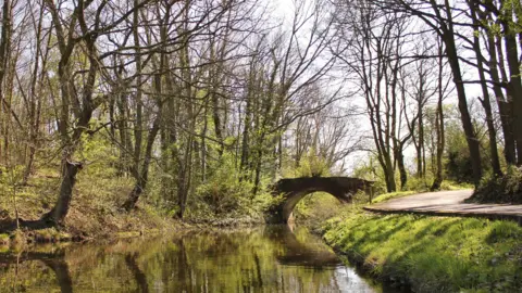 Jan Warsop An outdoor scene against a backdrop of a grey sky. A canal stretches from the centre of the foreground of the picture into the distance. The grassy banks on either side are lined with trees, most of which have lost their leaves. A stone path runs along the righthand bank. A small stone bridge can be seen crossing the canal in the middle distance.