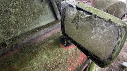 Charterhouse One of the wing mirrors covered in moss and cobwebs.