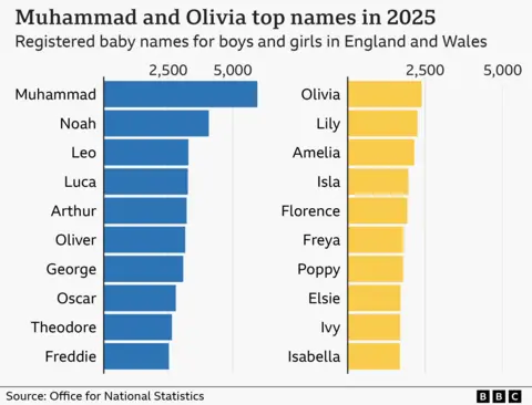 Two horizontal bar charts show the 10 most popular baby names in England and Wales in 2025. For boys, Muhammad was the top name with just under 6,000 registrations, followed by Noah, then Leo, Luca, Arthur, Oliver, George, Oscar, Theodore and Freddie. For girls, Olivia was the top name with about 2,500 registrations, followed by Lily, Amelia, Isla, Florence, Freya, Poppy, Elsie, Ivy and Isabella.