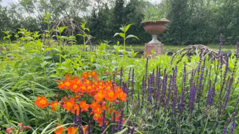 Bright coloured flowers of orange and purple can be seen in the foreground with a tall pot in the background