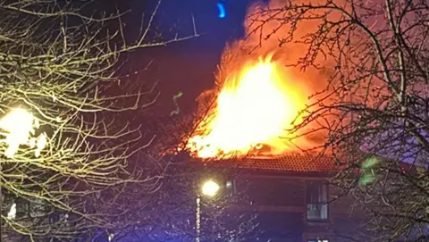Flames are coming out of the roof of a building. Trees are also visible.