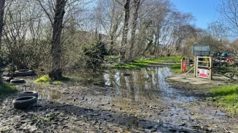 Ysgol Plascrug A muddy woodland area with trees and tyres 