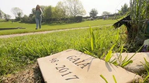 Ms Pope-Weidemann's walking towards a stone, in the foreground, engraved with Gaia's name