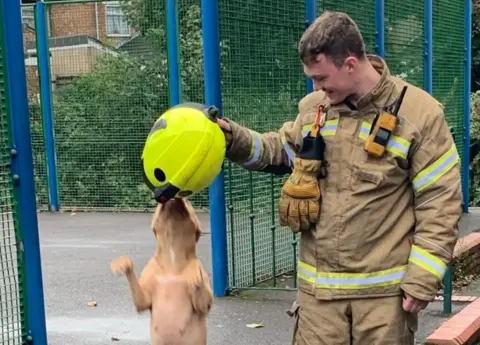 West Midlands Fire Service Pearl reaching the helmet of a trainee firefighter, who is on the right