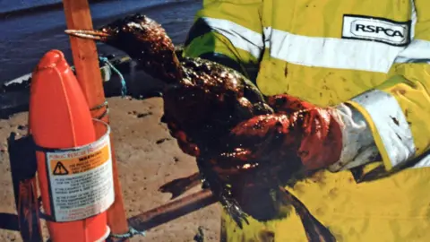 An image of a sea bird covered in black, sticky oil who is being held up by an RSPCA officer wearing a yellow high vis jacket. The image was taken in the 90s.