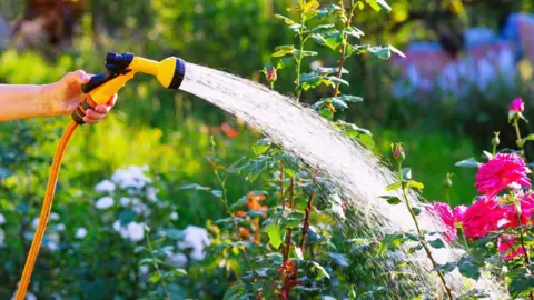 Hand holding hosepipe to water plants in a garden.
