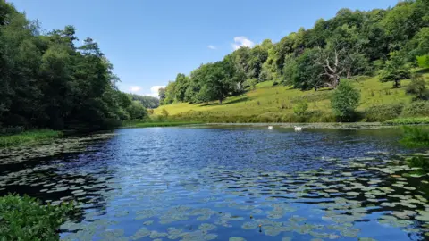 WeatherWatchers/marciaspictures A view of a blue lake with lots of green lilypads and two swans in the distance. Surrounded by lush greenery and trees inside a valley under a blue sky