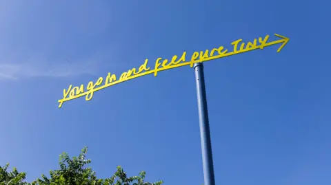 Eoin Carey Image shows a weather vein on a long metal pole. The vein is a yellow arrow with text on top which reads "you go in and feel pure tiny". In the background there is blue sky and the top of a green bush to the bottom left.