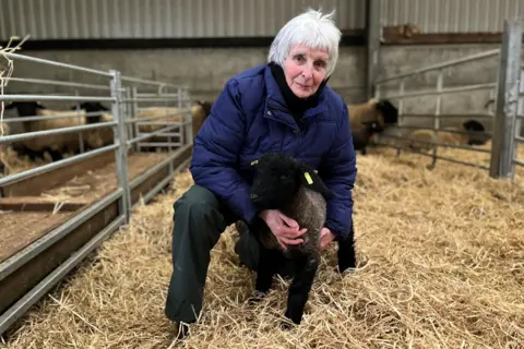 Farmer Helen Goldie kneels down, holding a young lamb which has a grey body and black legs and face