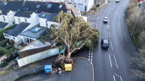 PA Media A picture of a tree that has fallen next to a main road onto a house. There are cars travelling past it.