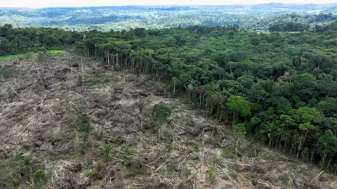Aerial shot of deforestation in Amazon rainforest. In the distance is apparently pristine green forest but in the foreground is an area bare of trees.