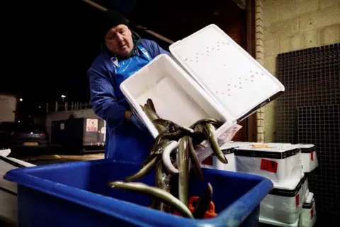 Getty Images A fishmonger tips eels into a container at Billingsgate fish market, in London, in the early hours of January 17, 2025.