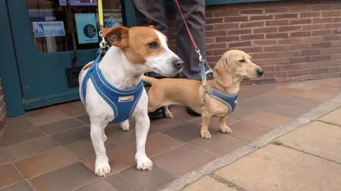 BBC A Jack Russell cross and a dachshund stand on the threshold of a bookshop.