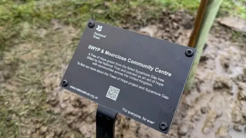 Ed Hanson/BBC A black plaque in the muddy ground has a message in white writing on it which says: "SWYP & Moorclose Community Centre. A Tree of Hope grown from the felled Sycamore Gap Tree. Gifted by the national Trust and planted as an act of hope with communities across the United Kingdom."