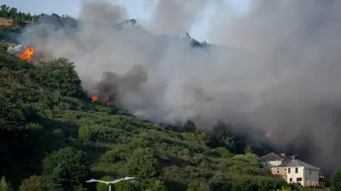 Getty Images A hillside with a line of smoke and flames visible. The hill is covered in vegetation, with two houses visible at the bottom of the hill. 