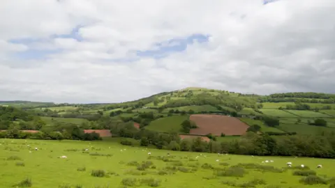 Richard Sowersby / BBC General view of farming country in rural Britain. Rolling green fields and trees can be seen on the horizon. Sheep are grazing in a field.