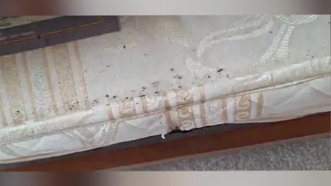 Freazy Warr Marks from bedbug droppings on the edge of the mattress 